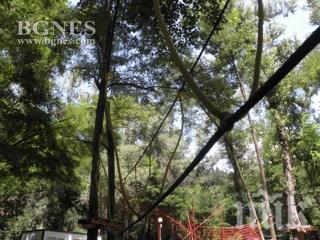 Остава тежко е състоянието на детето, паднало от атракцион в Благоевград 