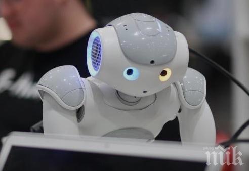 Футуролог с прогноза: Сексът на бъдещето ще е с роботи