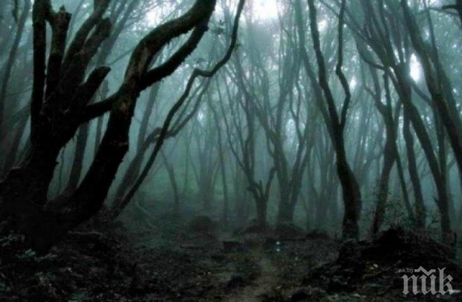 УЖАС! Вижте най-страшните и загадъчни места на планетата (ЗЛОВЕЩИ СНИМКИ)