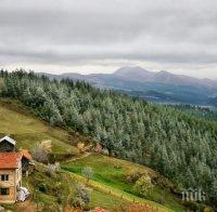 Разкритие! Златотърсачи твърдят: Родопите крият находище на рубини
