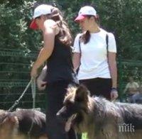 ПИК TV: Спортна площадка за кучета в Южния парк радва стопани и любимците им