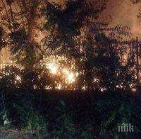 Огнен ад! Вижте пожара на стадион 