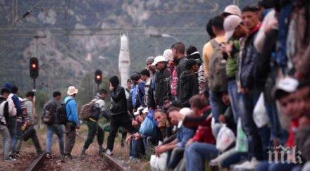 унгарският президент обяви датата референдума относно бежанците