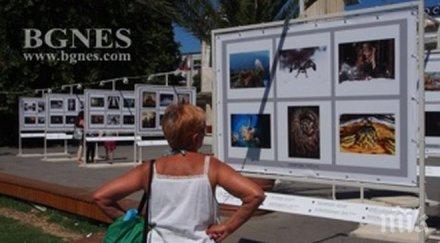 пик откриват фотоизложба входа морската градина варна