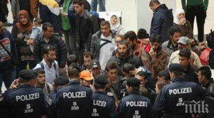 сърбия унгария разкриха мрежа трафик мигранти