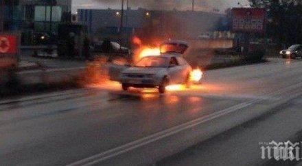 терористът камикадзе джеда пакистанец