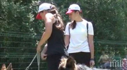 пик спортна площадка кучета южния парк радва стопани любимците