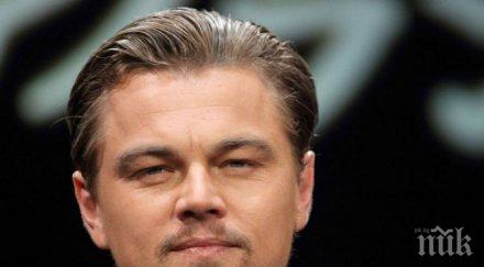 лъсна истината взеха лео каприо спасители плажа успя памела андерсън