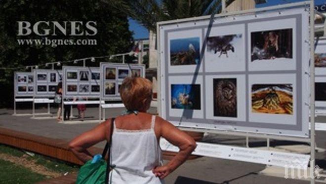 ПИК TV: Днес откриват фотоизложба на входа на Морската градина във Варна