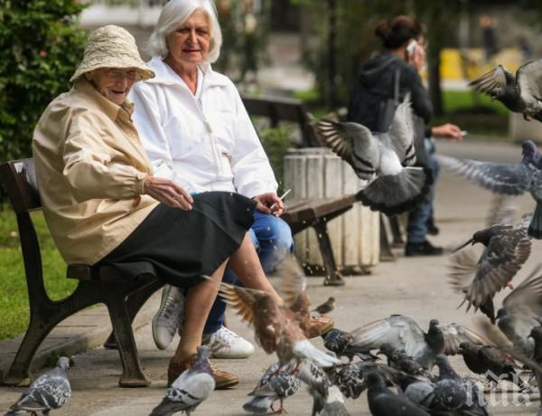 СВЕТЛИНА В ТУНЕЛА! Пенсия 2025 лв., заплата 5754. Вижте кога!