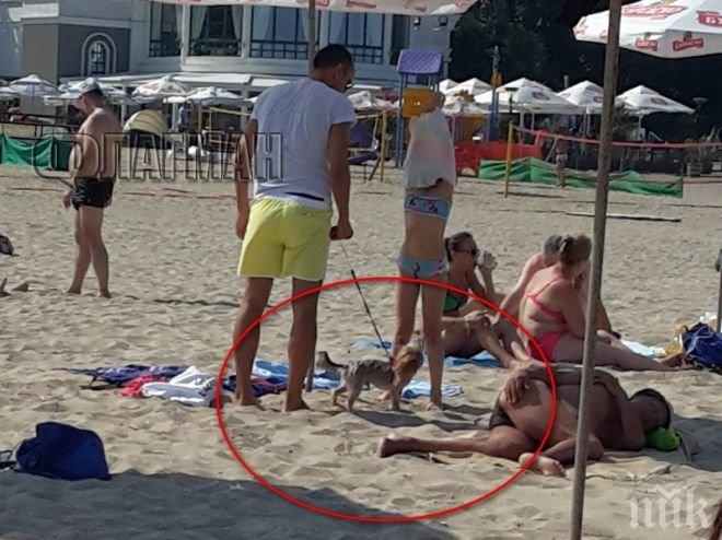 Напук на правилата! Млад мъж се къпе с куче на плажа (ВИДЕО)