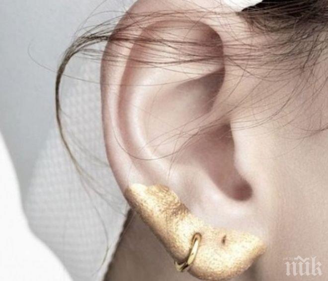 Последен писък: Жените вече си гримират и ушите! 