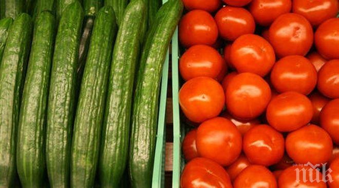 Българските оранжерийни домати поевтиняха с 6,5%