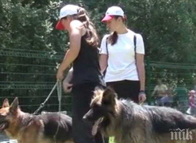 ПИК TV: Спортна площадка за кучета в Южния парк радва стопани и любимците им