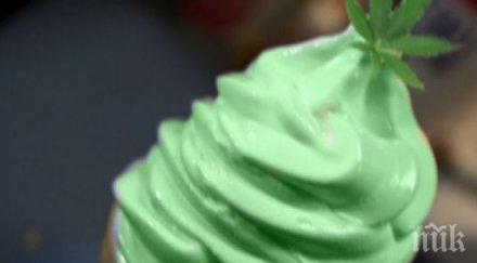 разхлада шестте вкусни сладоледа света снимки