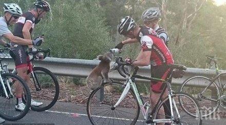 велосипедисти излизат протест софия