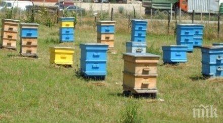 прокопий свети народните представи свързва пчеларството