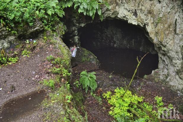 Страшно откритие! Древно чудовище изникна в Странджа (СНИМКА)