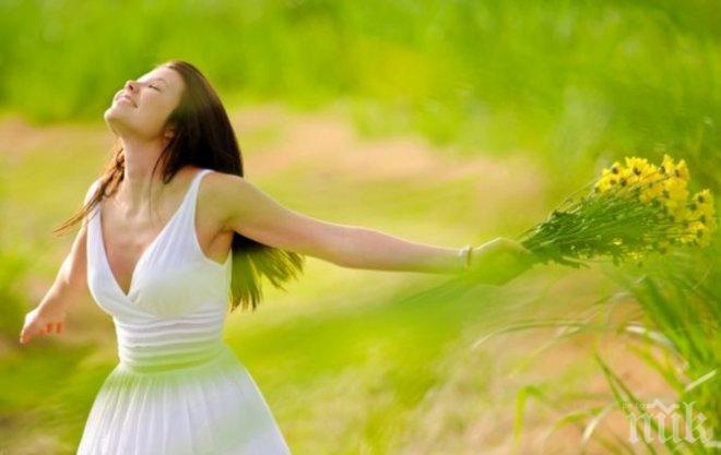 В неделя се раждат щастливците, в понеделник емоционалните, във вторник ...