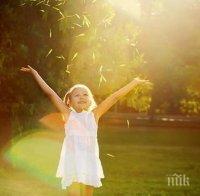 Специалист разкри как да се пазим от вредното влияние на слънцето
