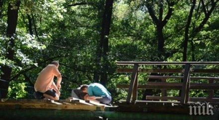 ремонтират опасен мост парк бачиново