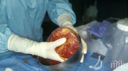 550 българи живеят присаден бъбрек