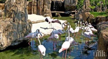 пик приключва строежа новия зоопарк пловдив