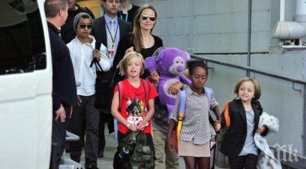 бранджелина брачна хармония шопинг