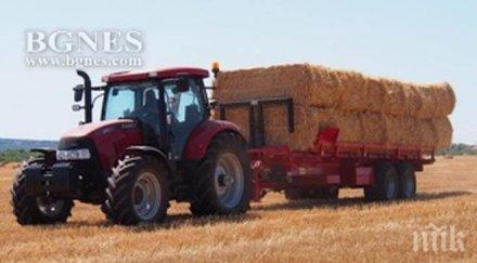 пик жътвата варненско разгара