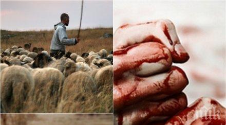 адско зверство пловдив братя обезобразили бой пастир развеждали гол селото