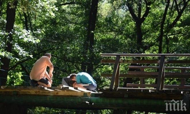 Ремонтират опасен мост в парк Бачиново
