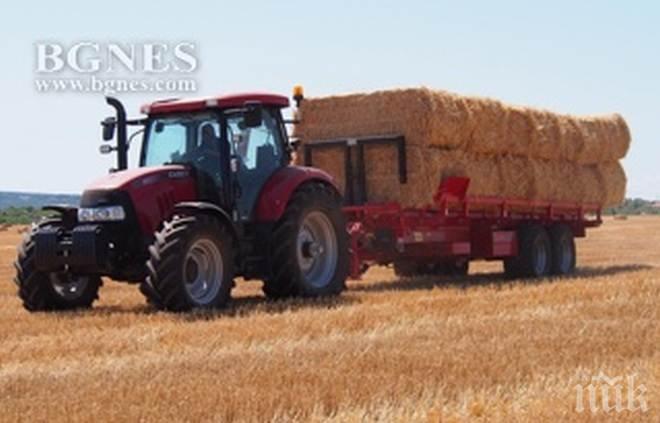 ПИК TV: Жътвата във Варненско е в разгара си