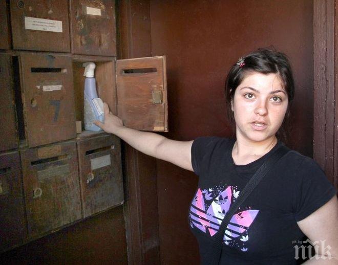 Бълхи подпалиха война между съседи 