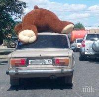 Влюбен купи огромен мечок за любимата, разкарва го из града на покрива на Жигула (СНИМКА)
