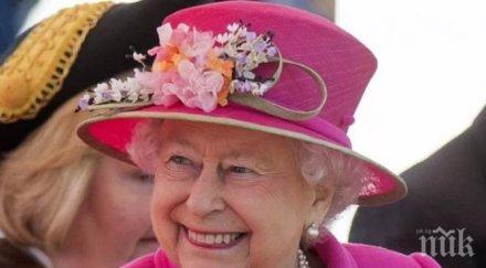 златна оферта искате работите бъкингамския дворец кралицата търси мияч чинии