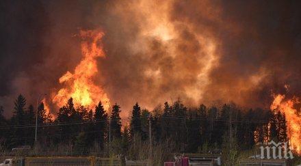 стихия 1000 декара горят благоевград