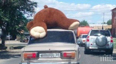 влюбен купи огромен мечок любимата разкарва града покрива жигула снимка