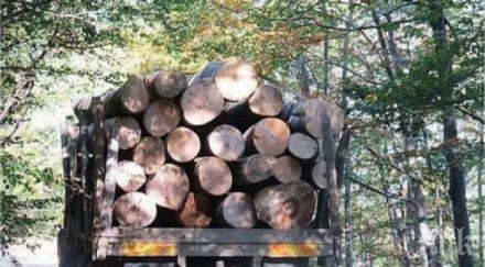 извънредно война живот смърт разлог обезглавят горски стражар