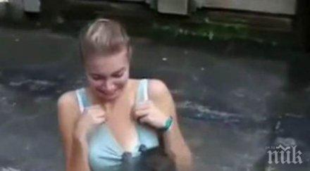 безсрамни вижте маймуни разсъбличат туристки видео