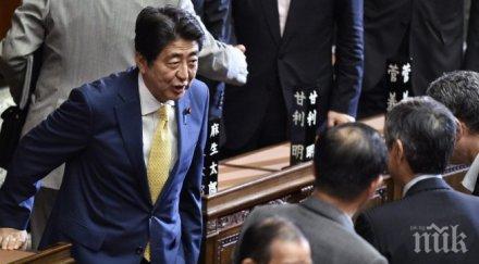 управляващата коалиция япония води изборите горна камара парламента