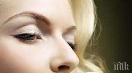 пътеводител сладоледения извратеняк