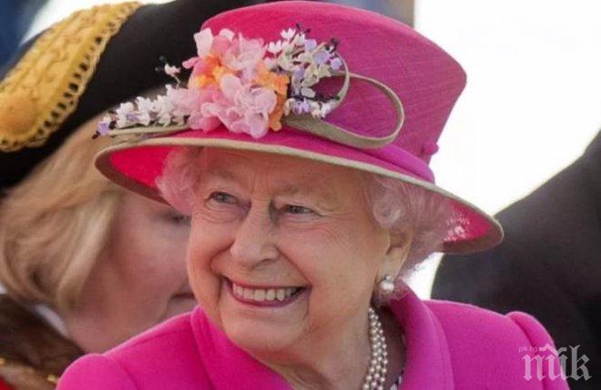 ЗЛАТНА ОФЕРТА! Искате да работите в Бъкингамския дворец? Кралицата си търси мияч на чинии