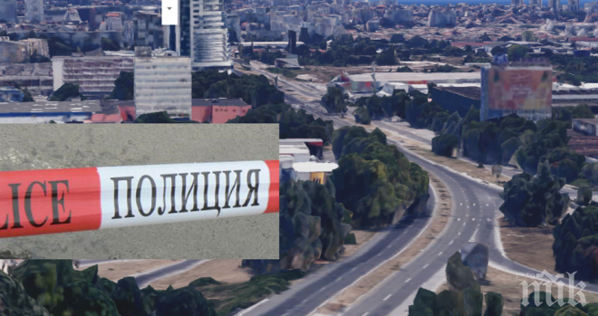 Шок и ужас на влизане във Варна! Обесено коте виси на билборд