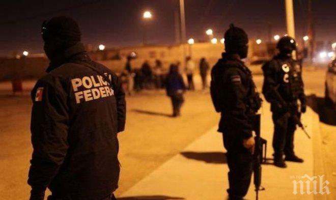 СПОРЕД ЗАКОНА! Мексикански войници убиха петима престъпници