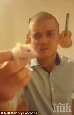 Наказаха Лудия Мат, който откъсна със зъби главата на плъх в ефир (ВИДЕО)