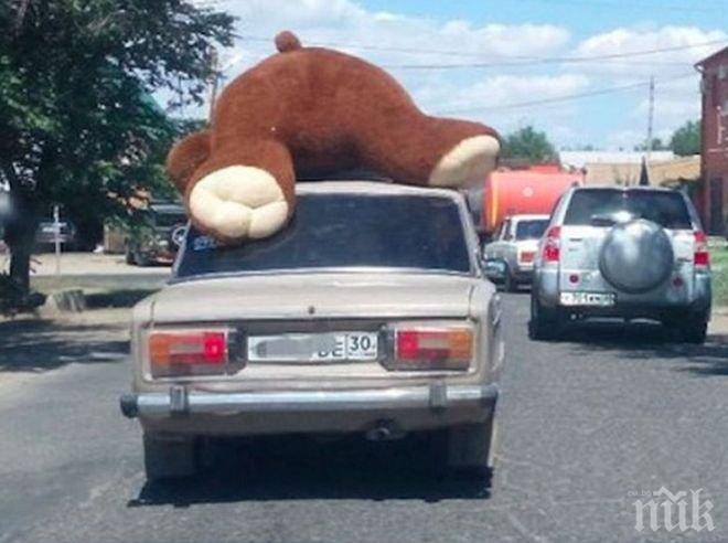 Влюбен купи огромен мечок за любимата, разкарва го из града на покрива на Жигула (СНИМКА)