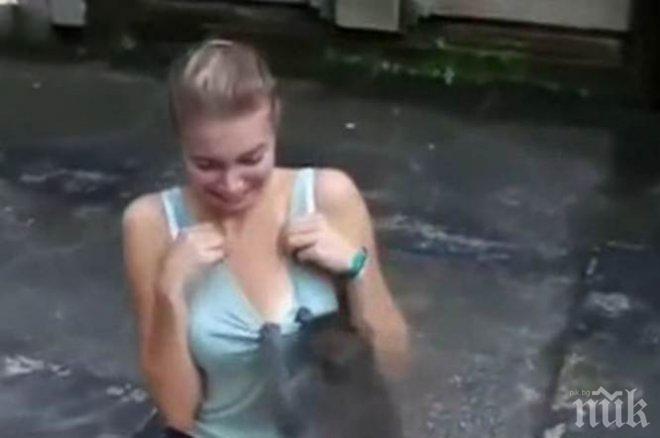 БЕЗСРАМНИ! Вижте как маймуни разсъбличат туристки (ВИДЕО)