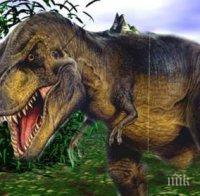 Нов вид динозаври, напомнящи Тиранозавър рекс, бе открит в Аржентина