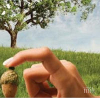  12 ЗАКОНА НА КАРМАТА, КОИТО МАЛЦИНА ЗНАЯТ!