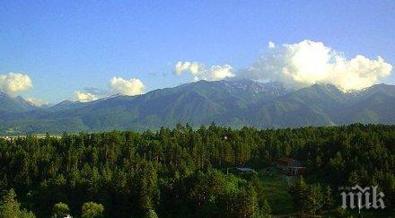 бомба зелените българската гора увеличила млндка